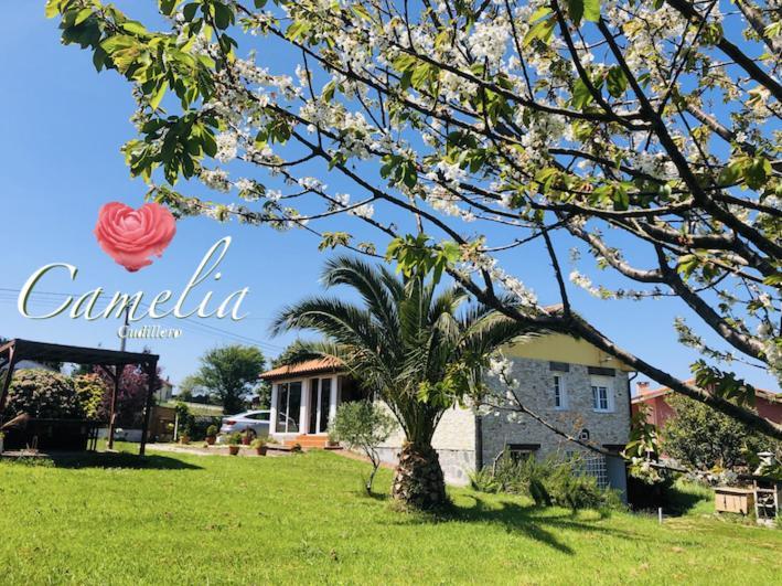 Camelia Casina Rural Vila Albuerne Exterior foto